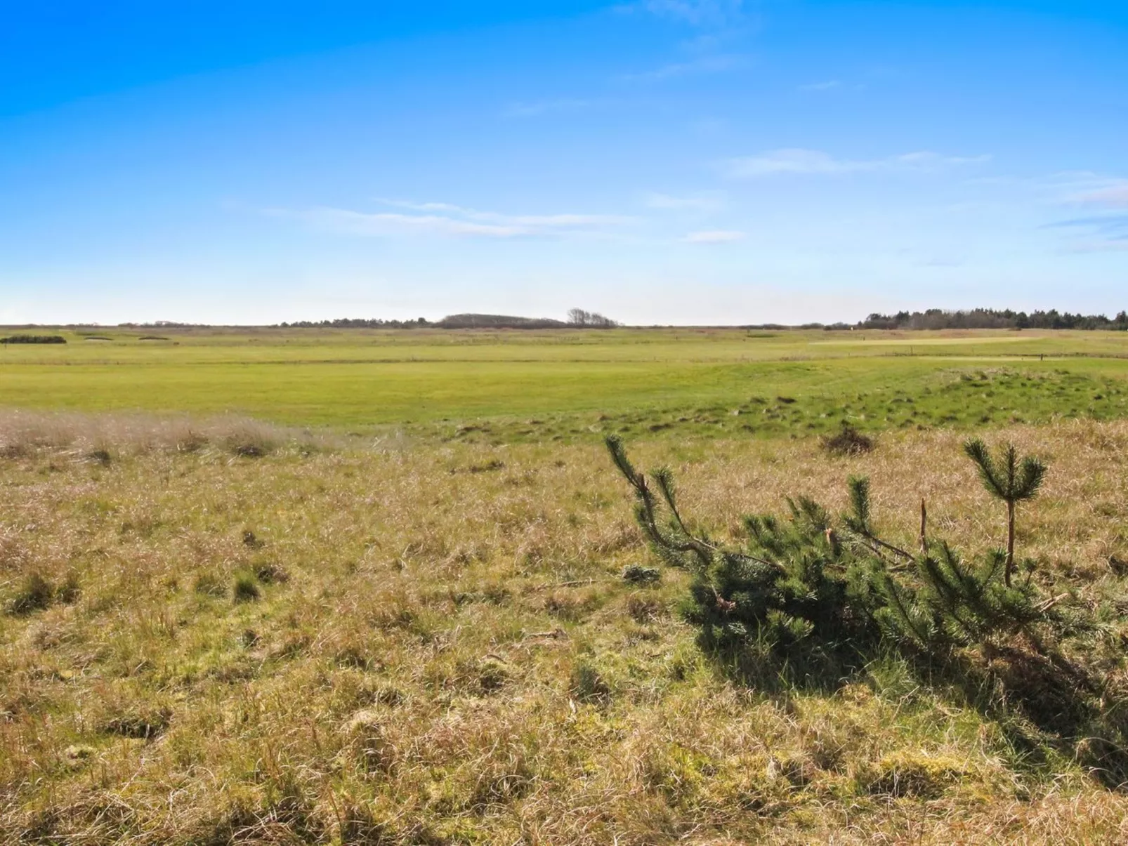 "Maura" - 2.3km from the sea-Outside