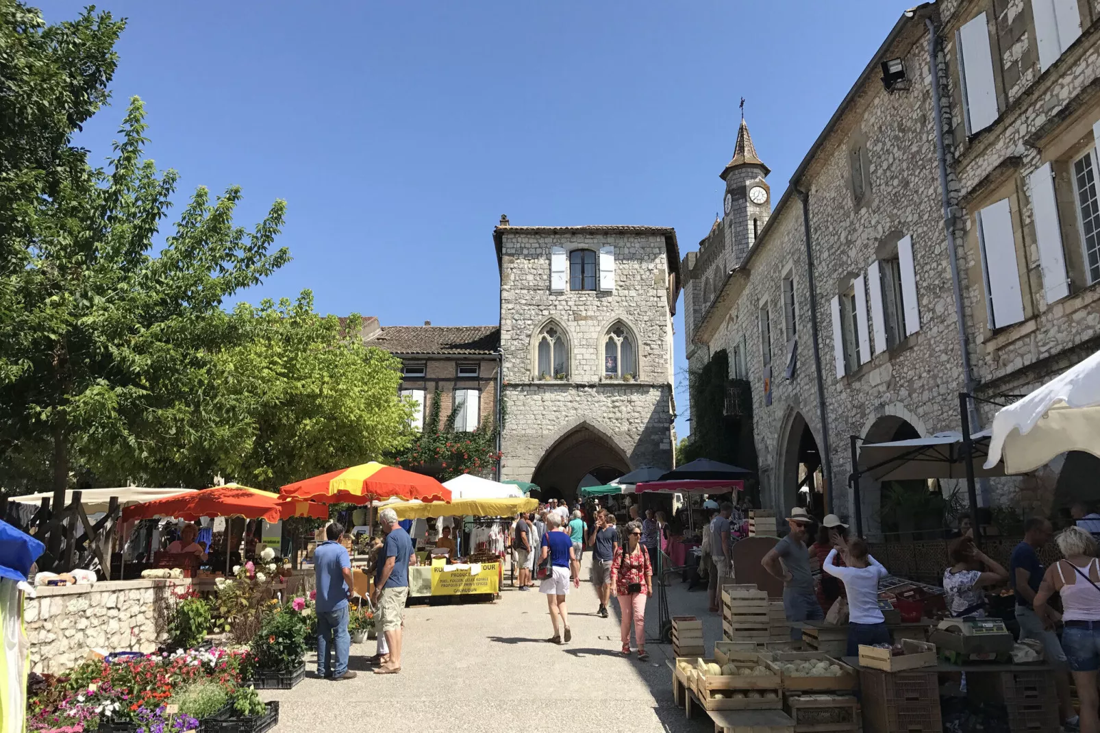 Villages de Cigales 4-Areas summer 20km