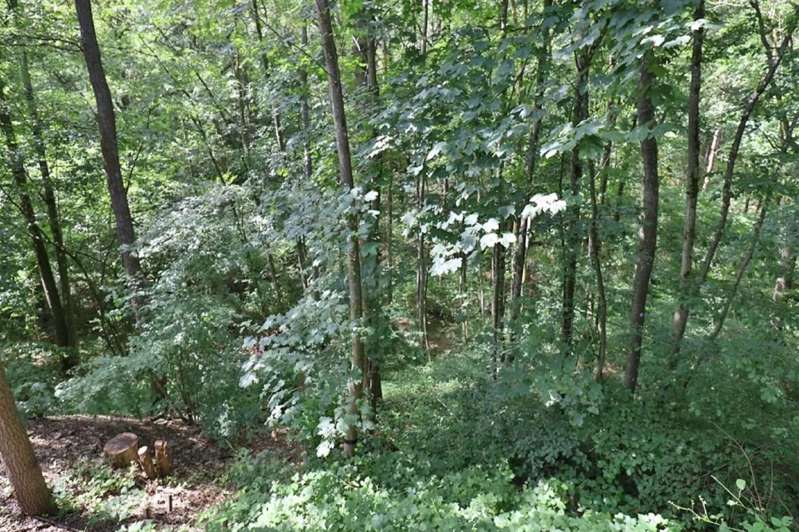 Chalet Choufken-Gardens summer