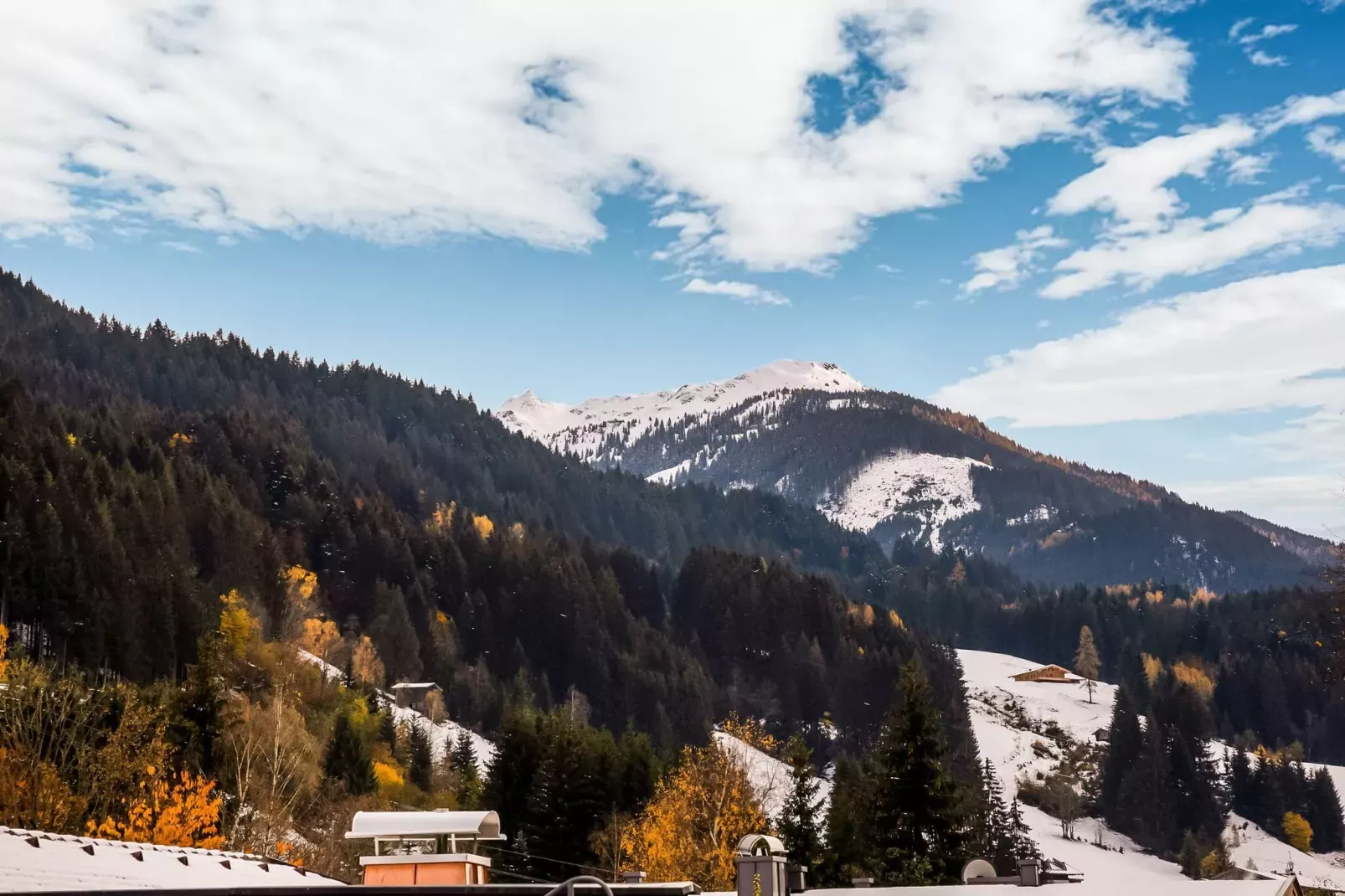 Bauernhaus Fuchs-View summer
