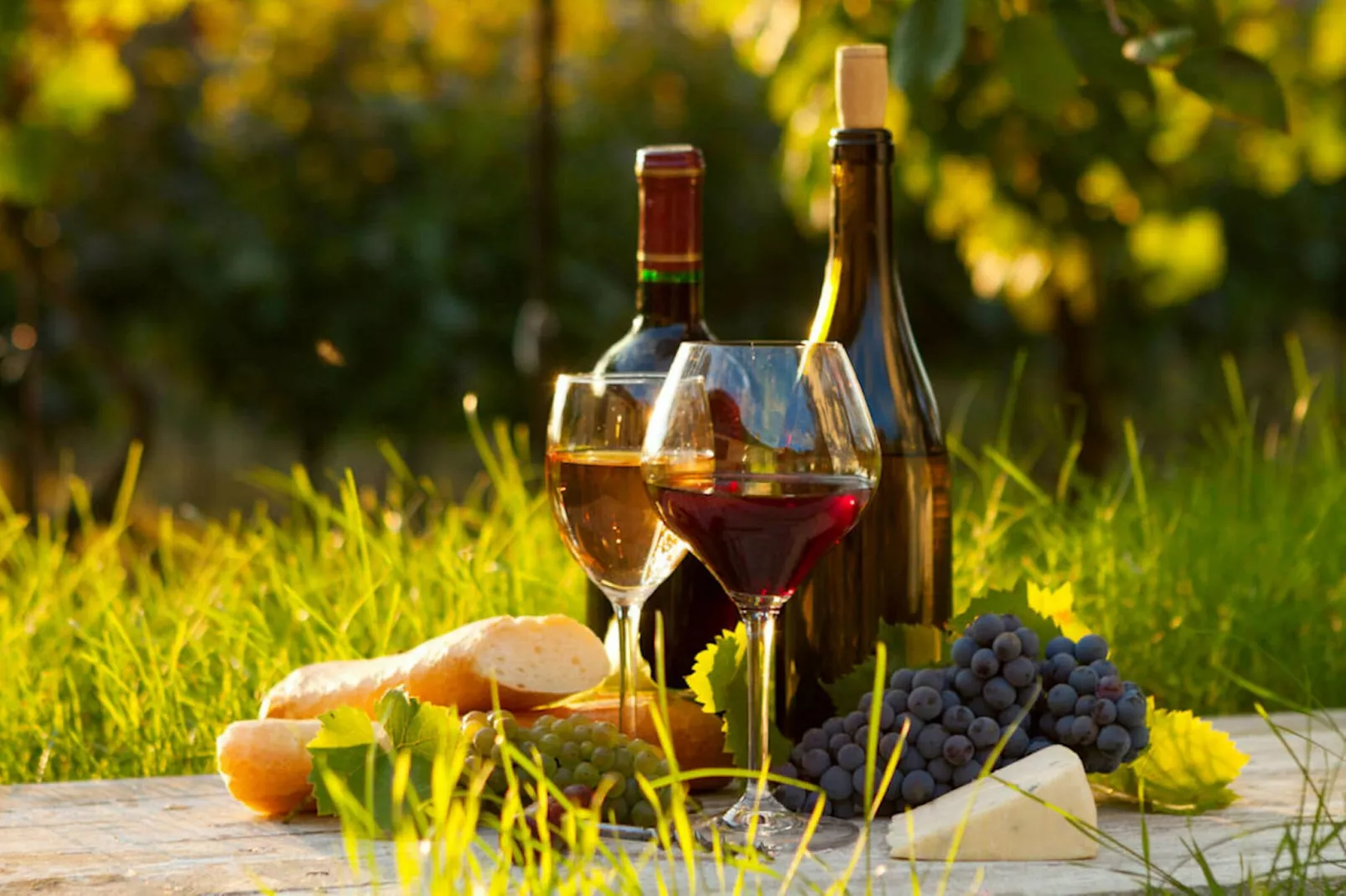Le Club des cinq-Ambiente