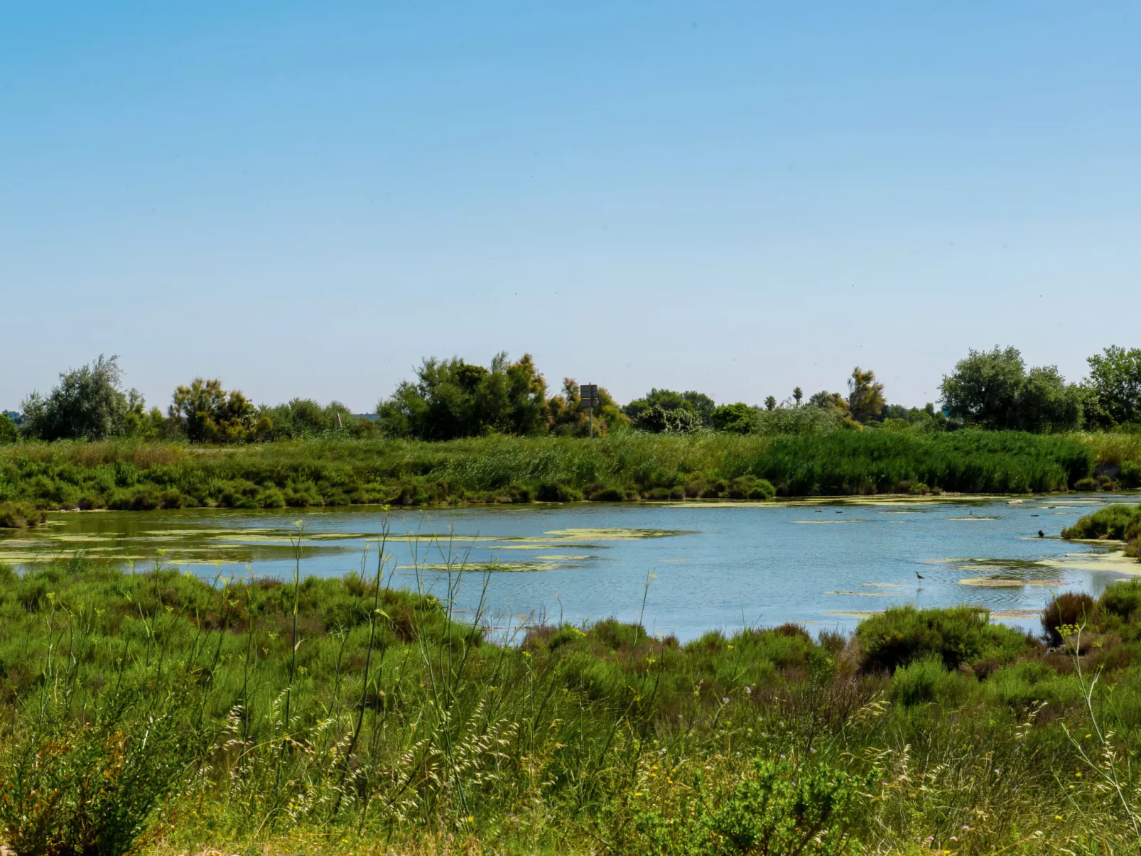 Domaine du Golf-Dedans