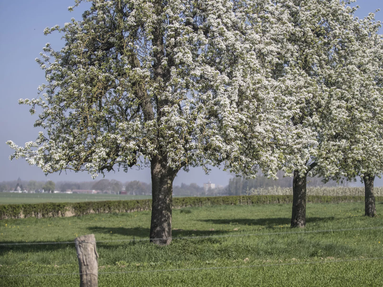 Bungalowpark Landsrade-Dehors