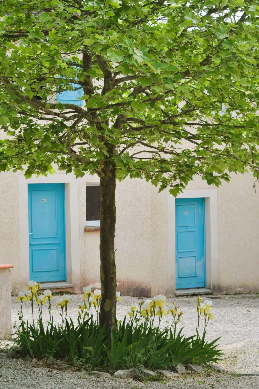 Domaine des Cazelles-Outside