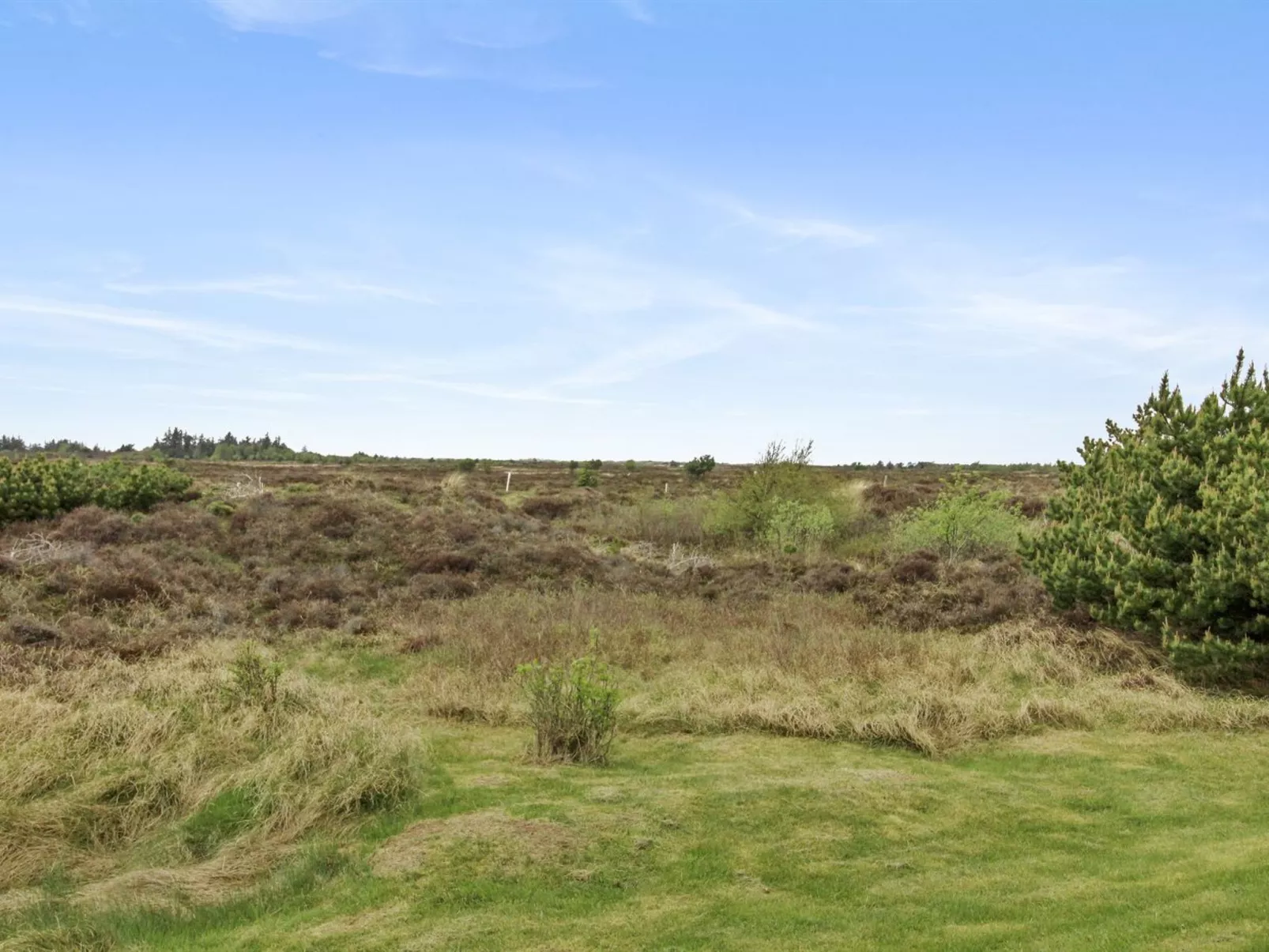 "Dida" - 3.1km from the sea-Inside