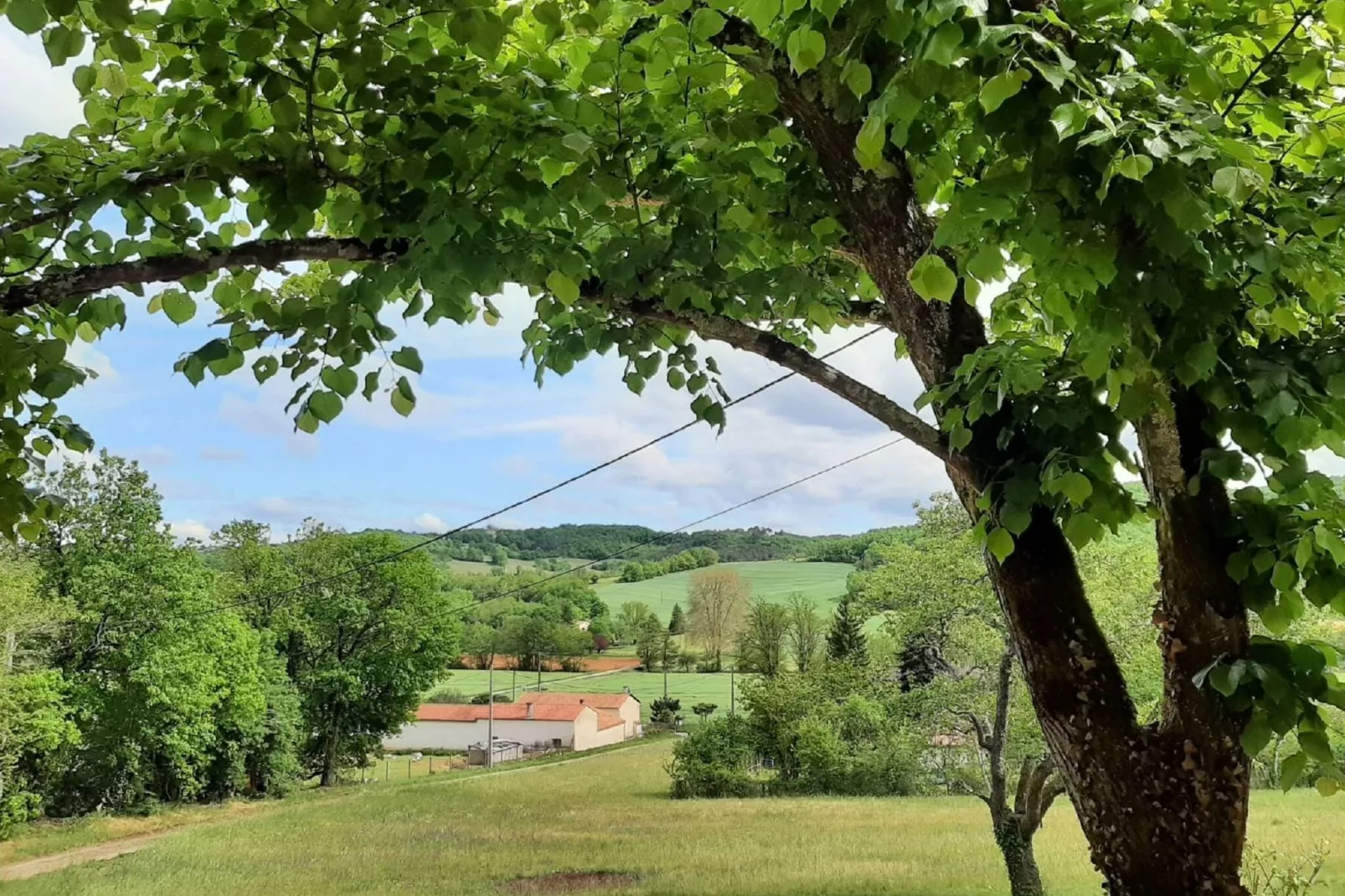 Gîte 1-Aussicht Sommer