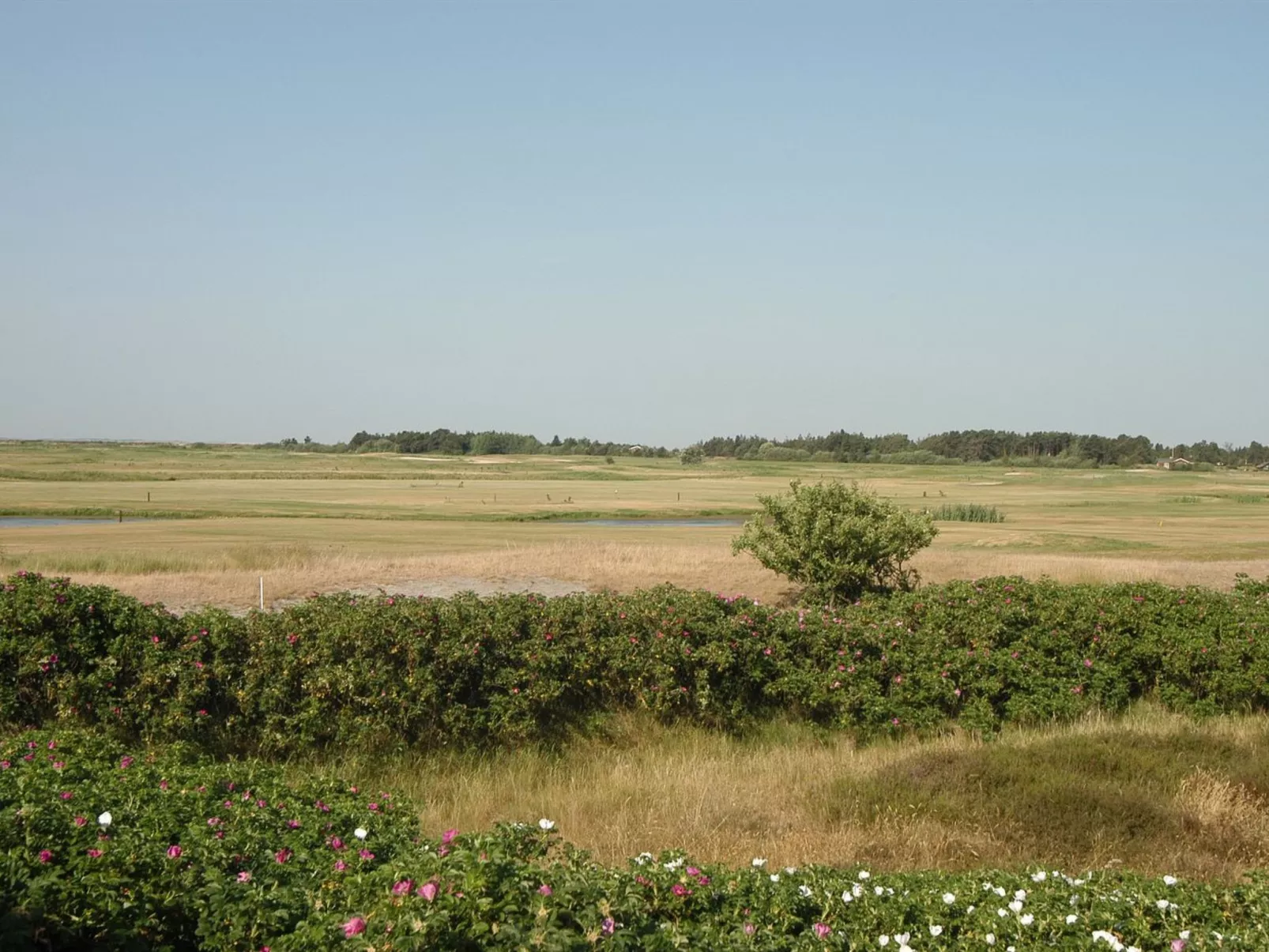 "Ennike" - 2.3km from the sea-Outside