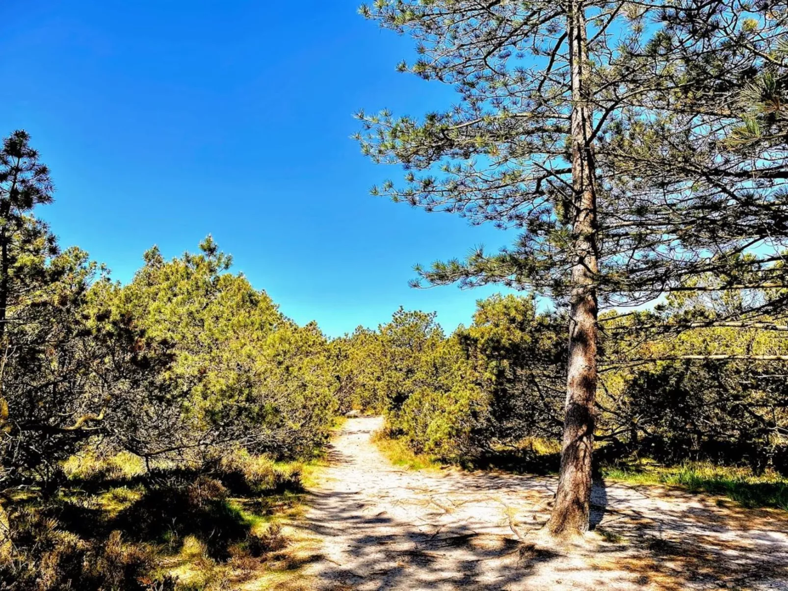 "Neia" - 640m from the sea-Inside