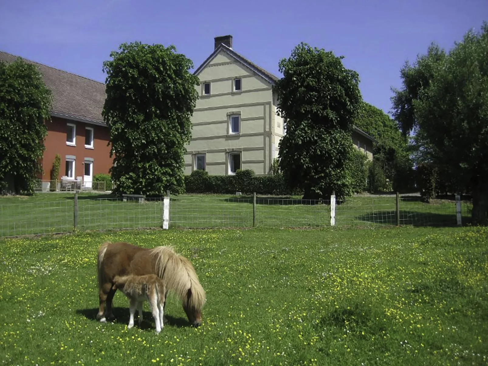 Bungalowpark Landsrade-Draußen