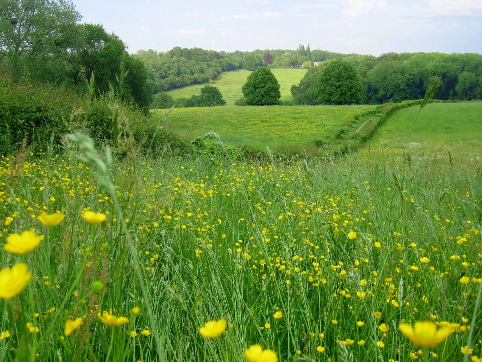 Bungalowpark Landsrade-Outside