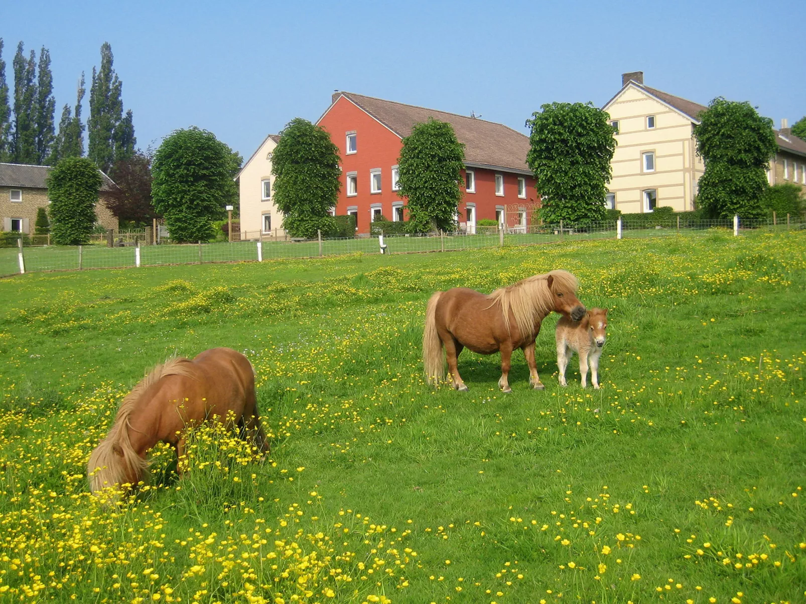 Bungalowpark Landsrade-Draußen