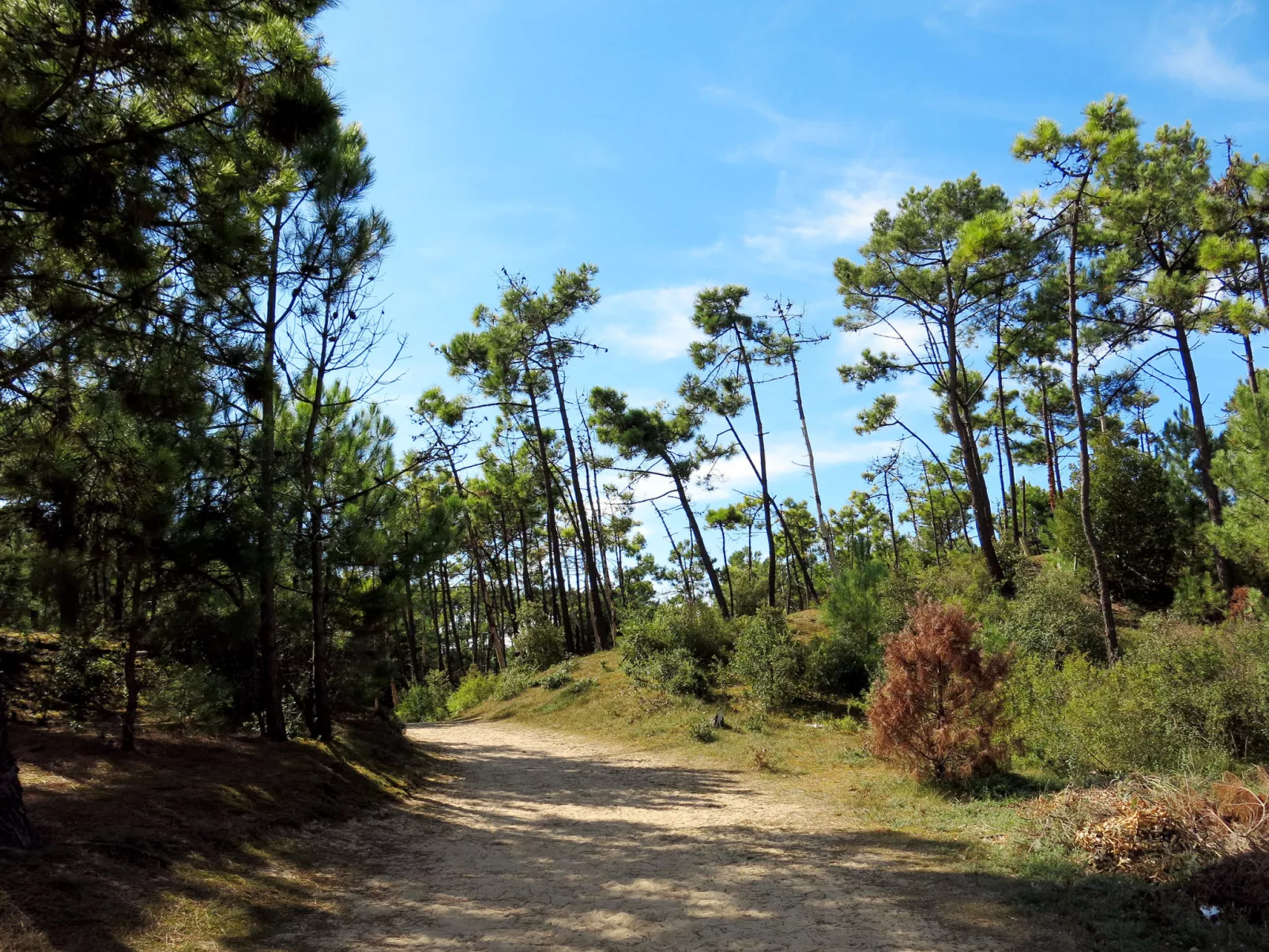 Les Mas de St. Hilaire-Outside