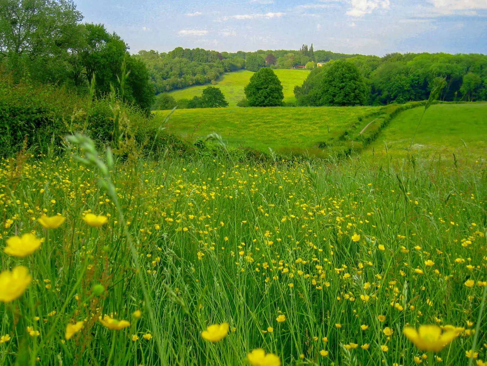 Bungalowpark Landsrade-Outside