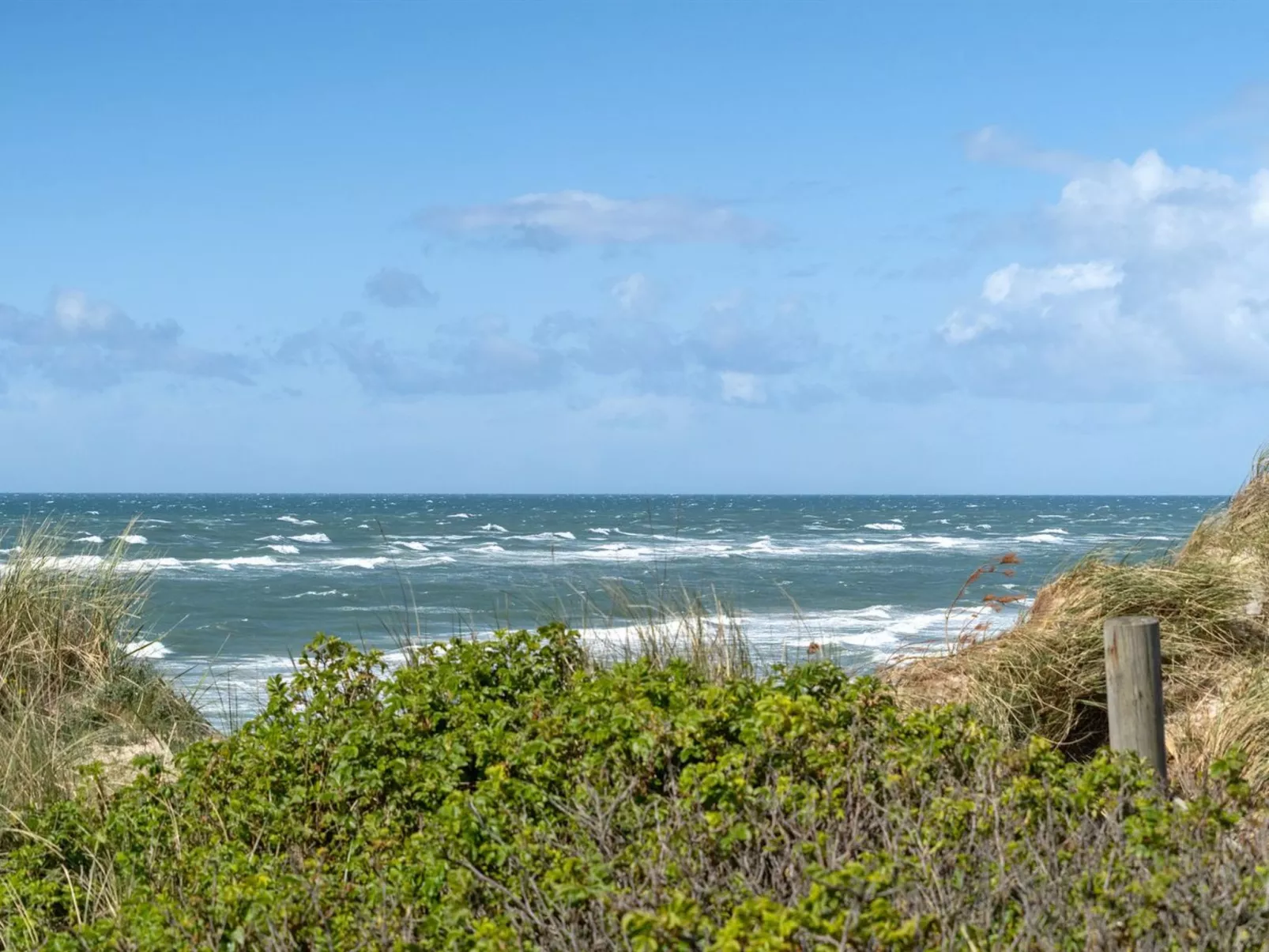 "Abbie" - 10m from the sea-Outside
