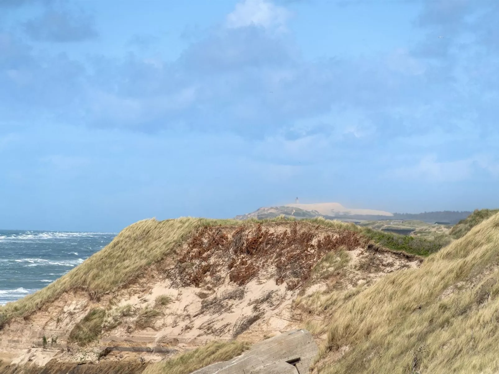 "Abbie" - 10m from the sea-Outside