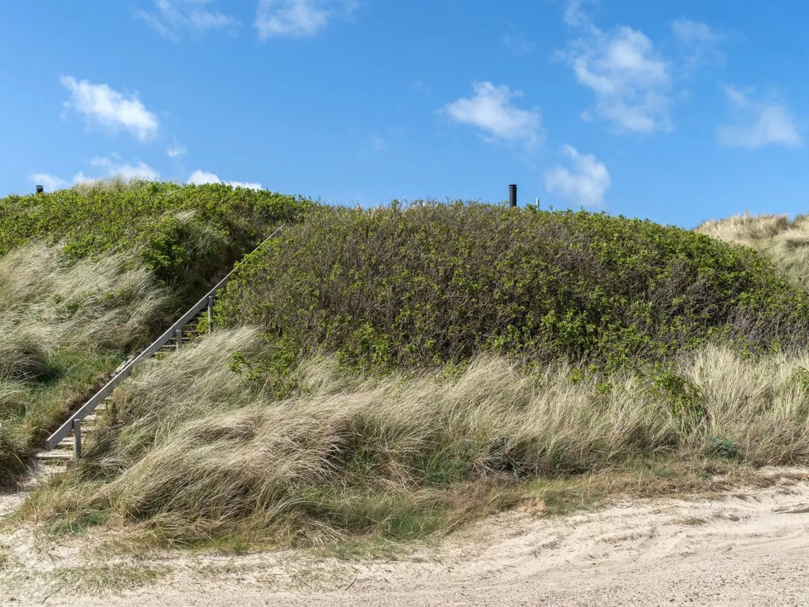"Abbie" - 10m from the sea-Outside