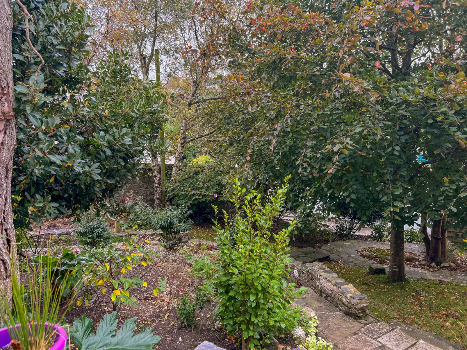 Cherry Orchard House-Outside