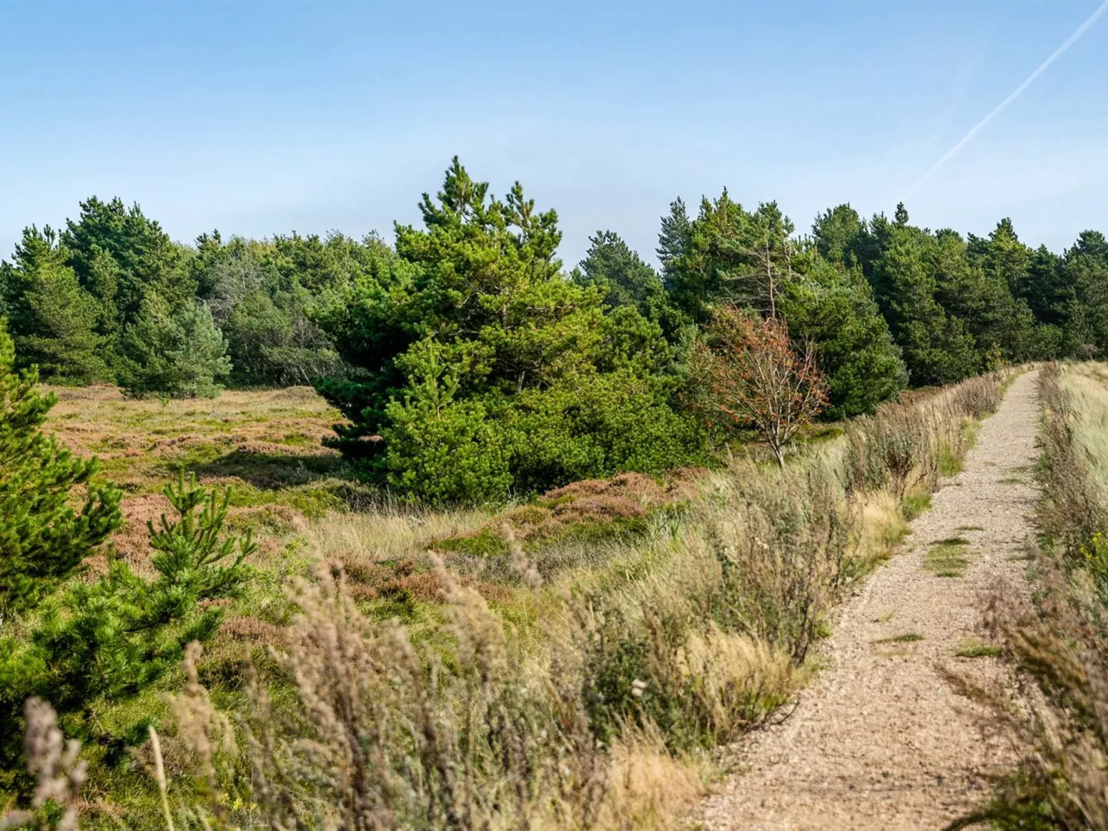 "Gabriela" - 1km from the sea-Outside