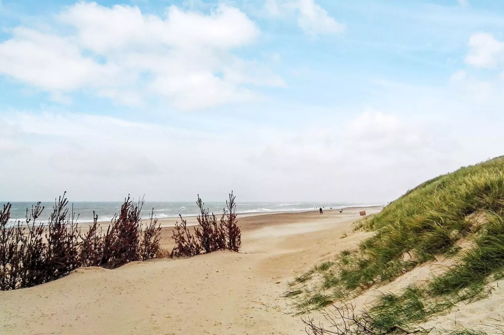 4 person holiday home in Harboøre-View