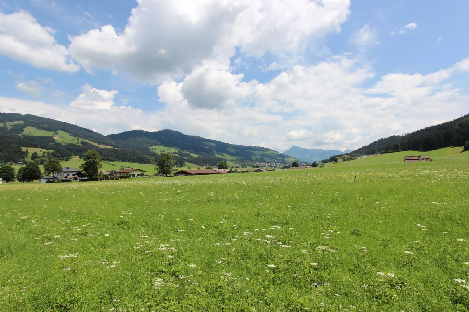 Kaiserblick Berghof-Areas summer 1km