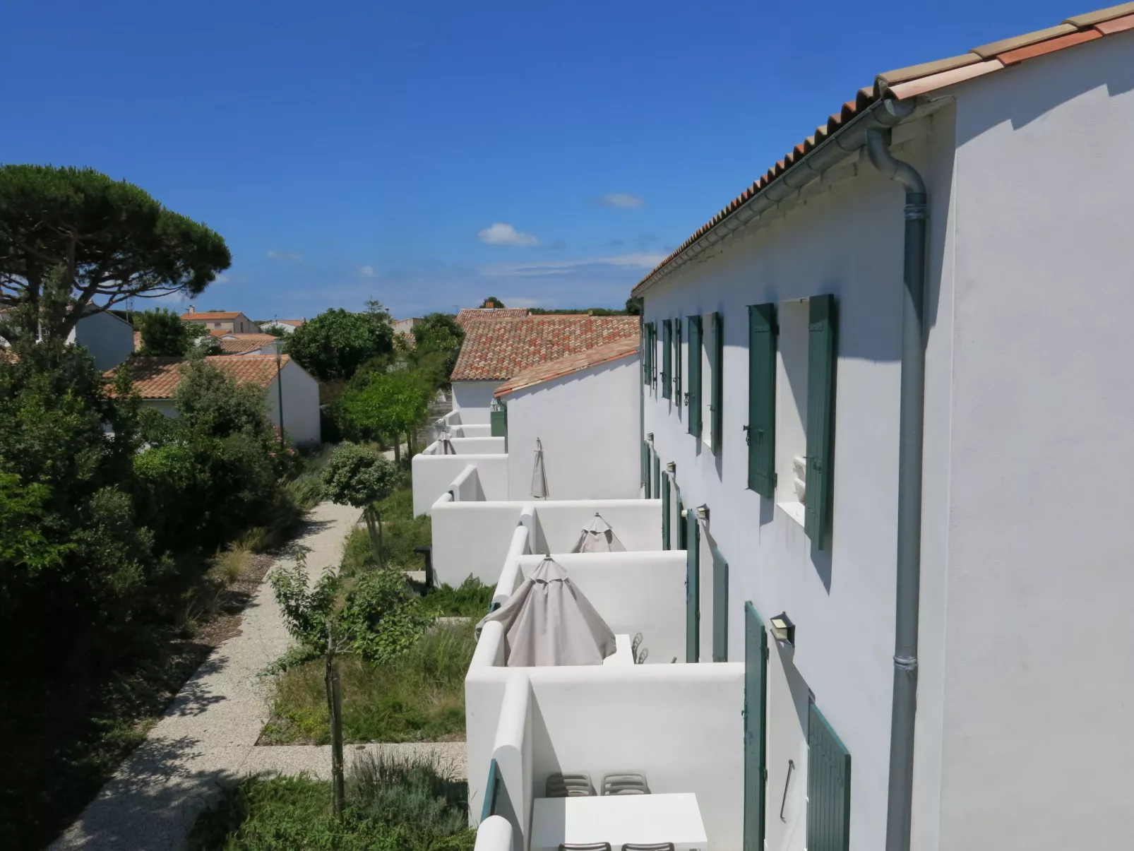 Rêve d'Ile