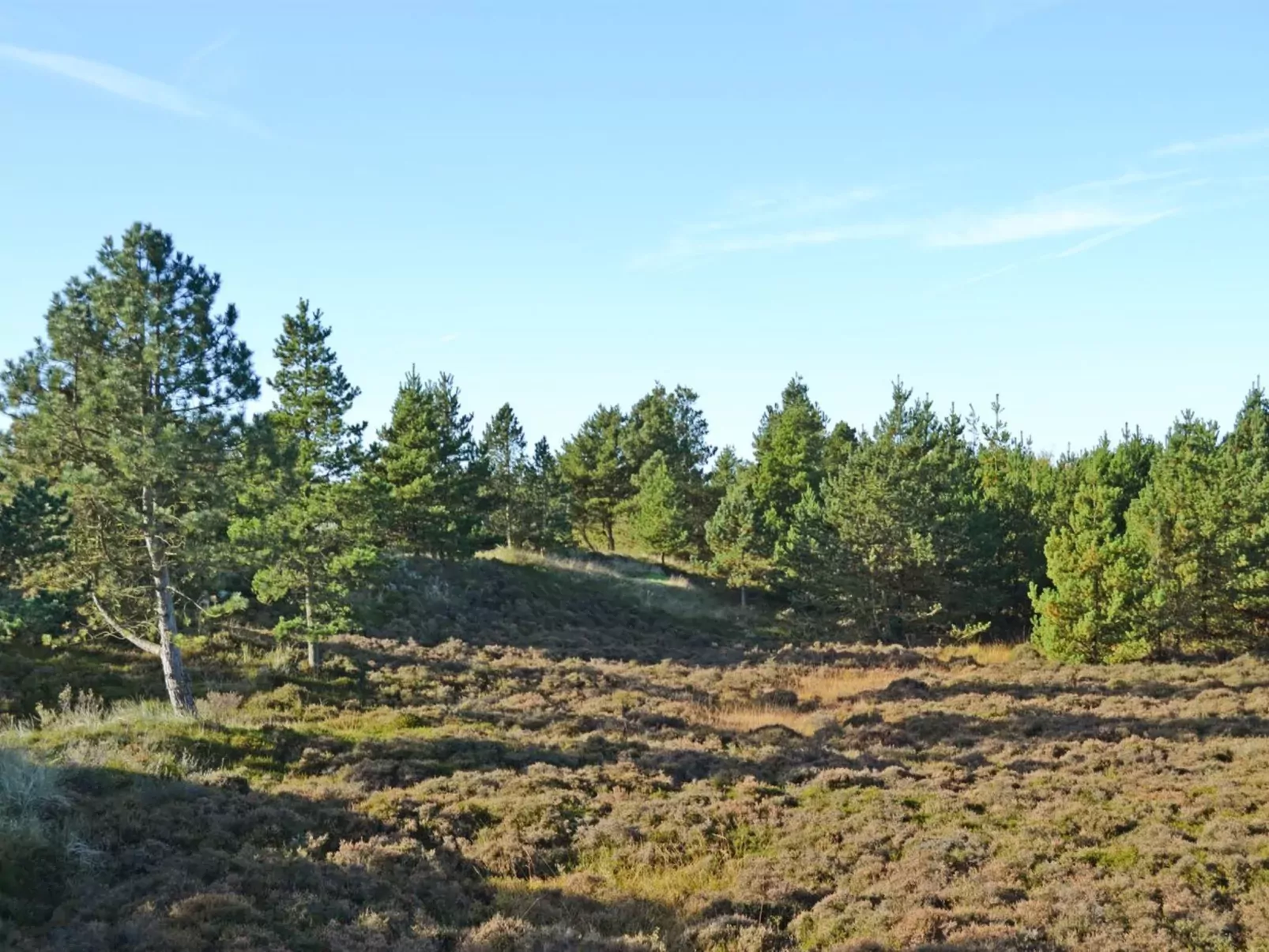 "Mariette" - 3.1km from the sea-Outside