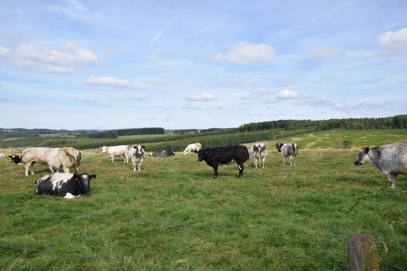 Les Rochettes Jupiter-Areas summer 20km