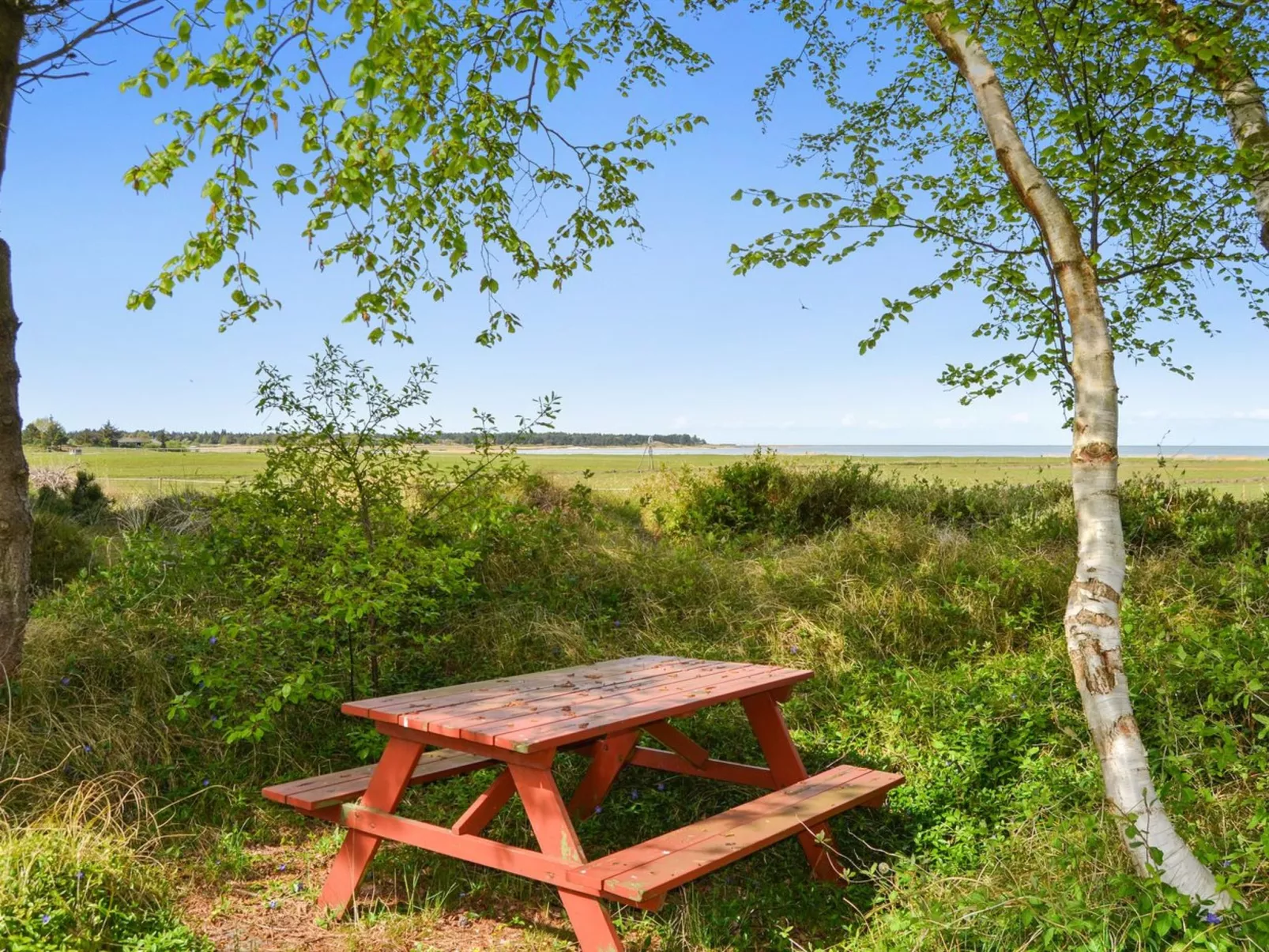 "Sedine" - 3.9km from the sea-Drinnen