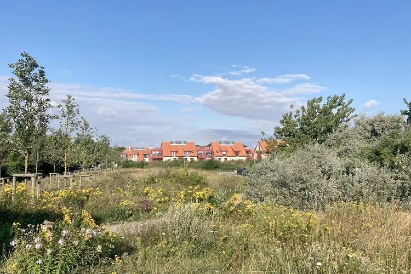 Bades Huk Hohenkirchen-3 Schlafzimmer-Außenbereich Sommer