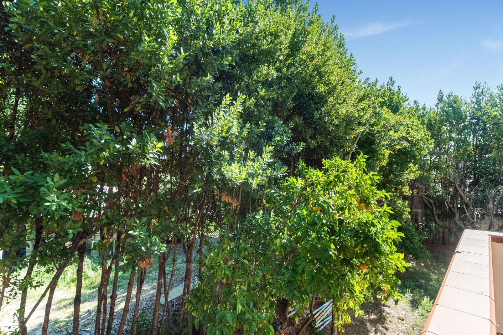 Villa Francisca-View summer