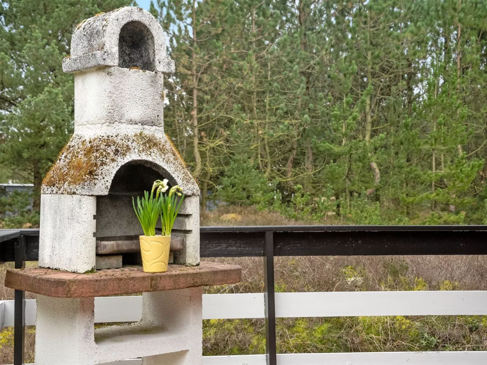 "Sigrun" - 4km from the sea-Outside