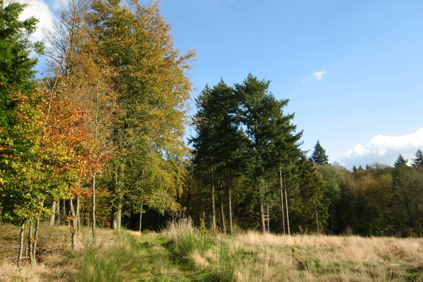 Les Rochettes Pluton 3-Areas summer 5km