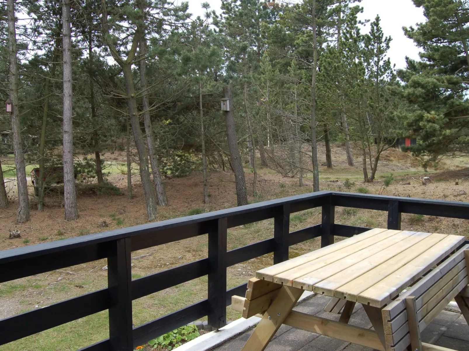 "Christian" - 3.5km from the sea-Outside