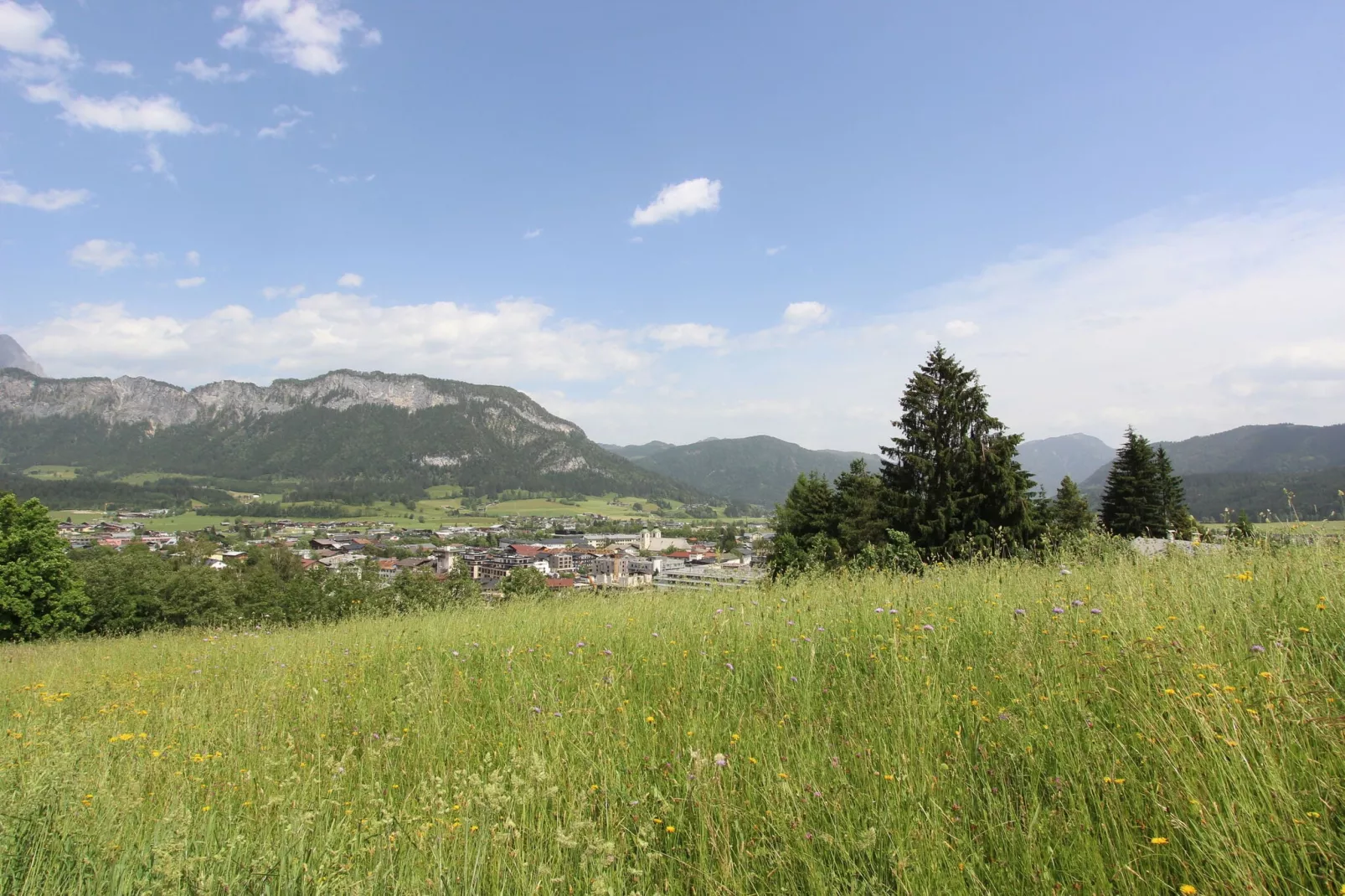 Hollerhaus-Areas summer 1km