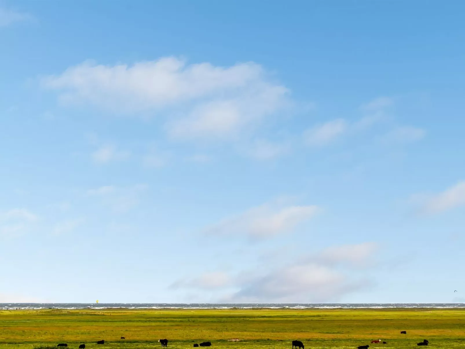 "Mortensen" - 350m from the sea-Outside