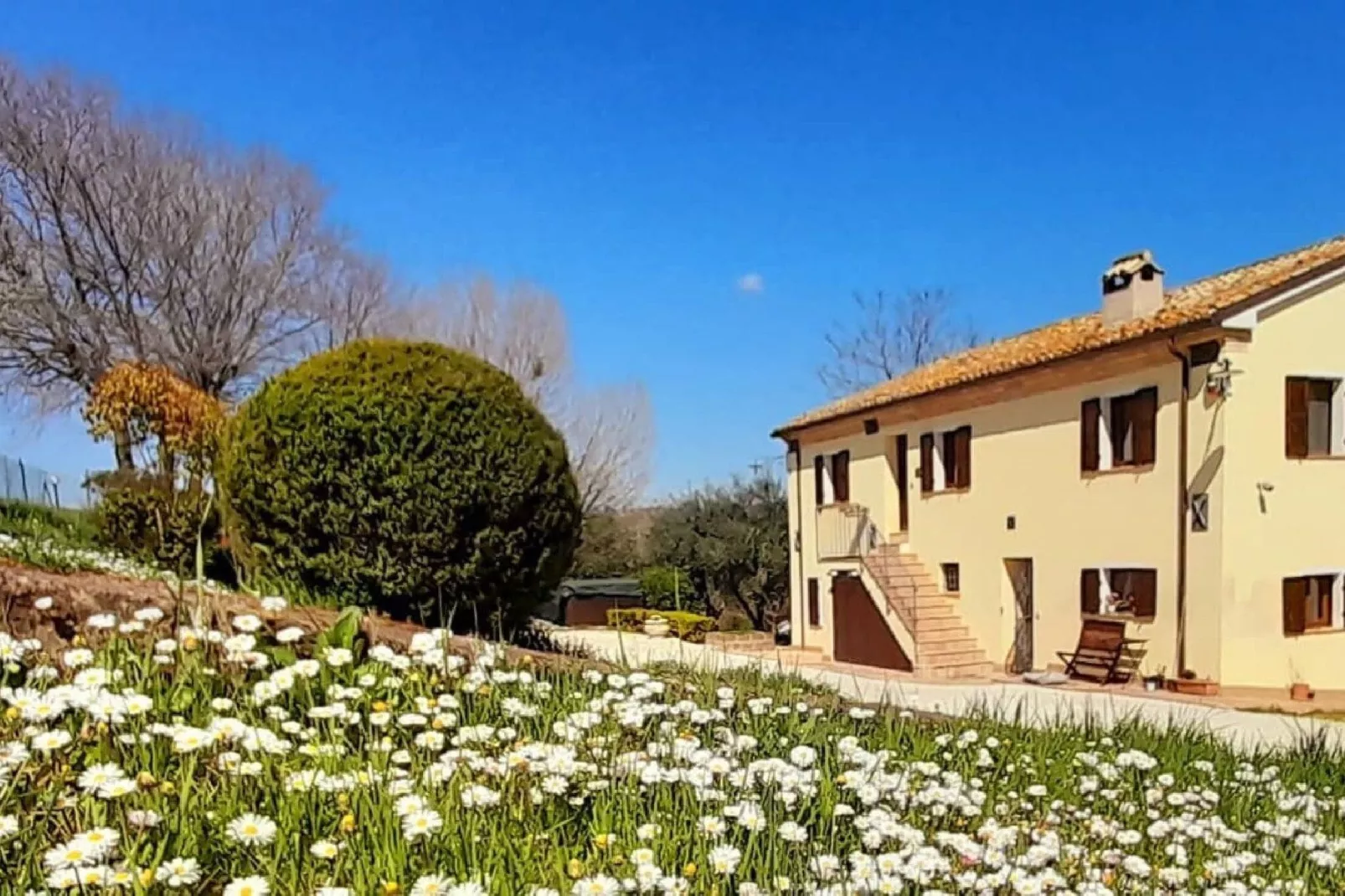 Casale degli Ulivi-Außenbereich Sommer