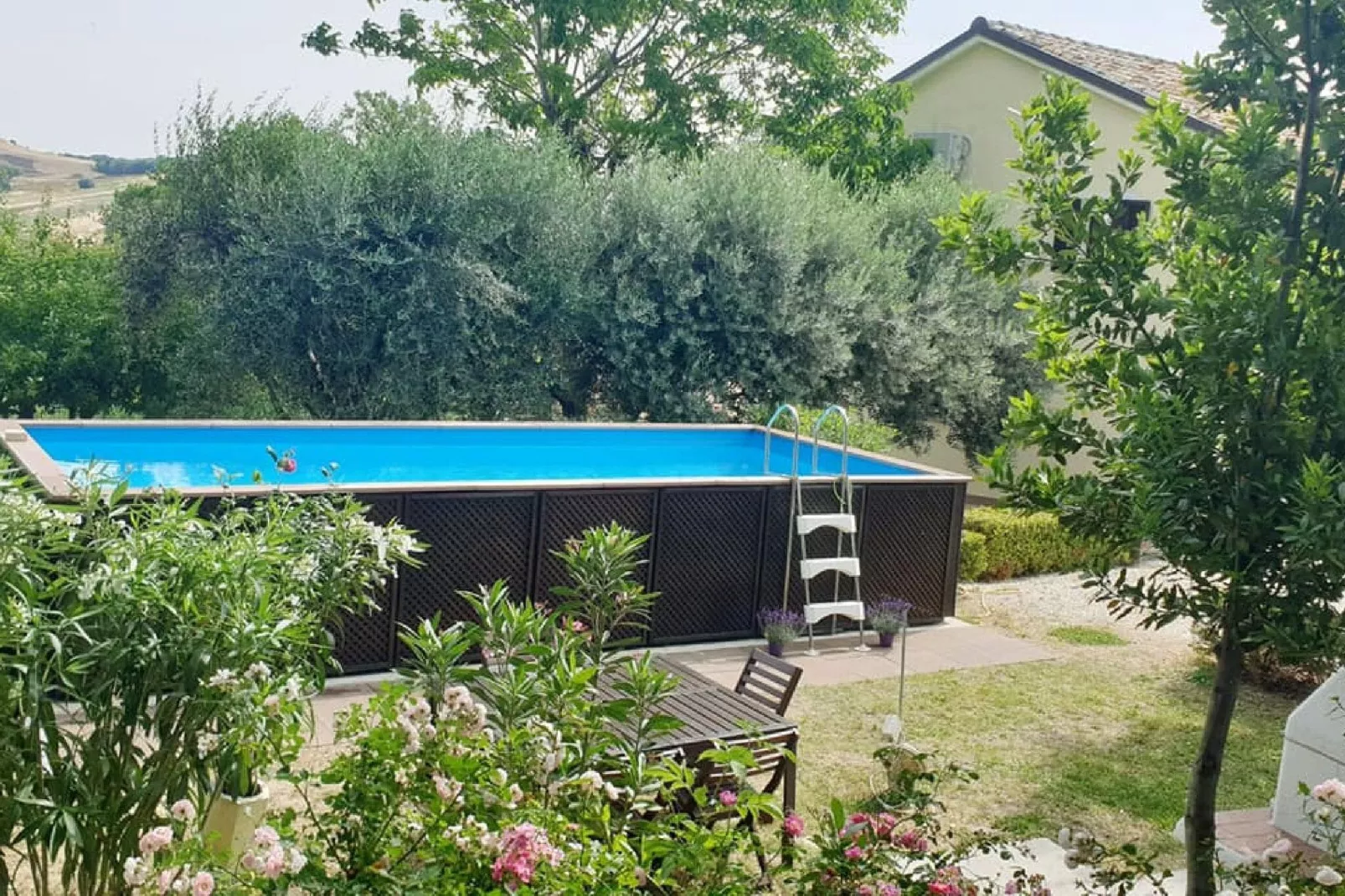 Casale degli Ulivi-Schwimmbad