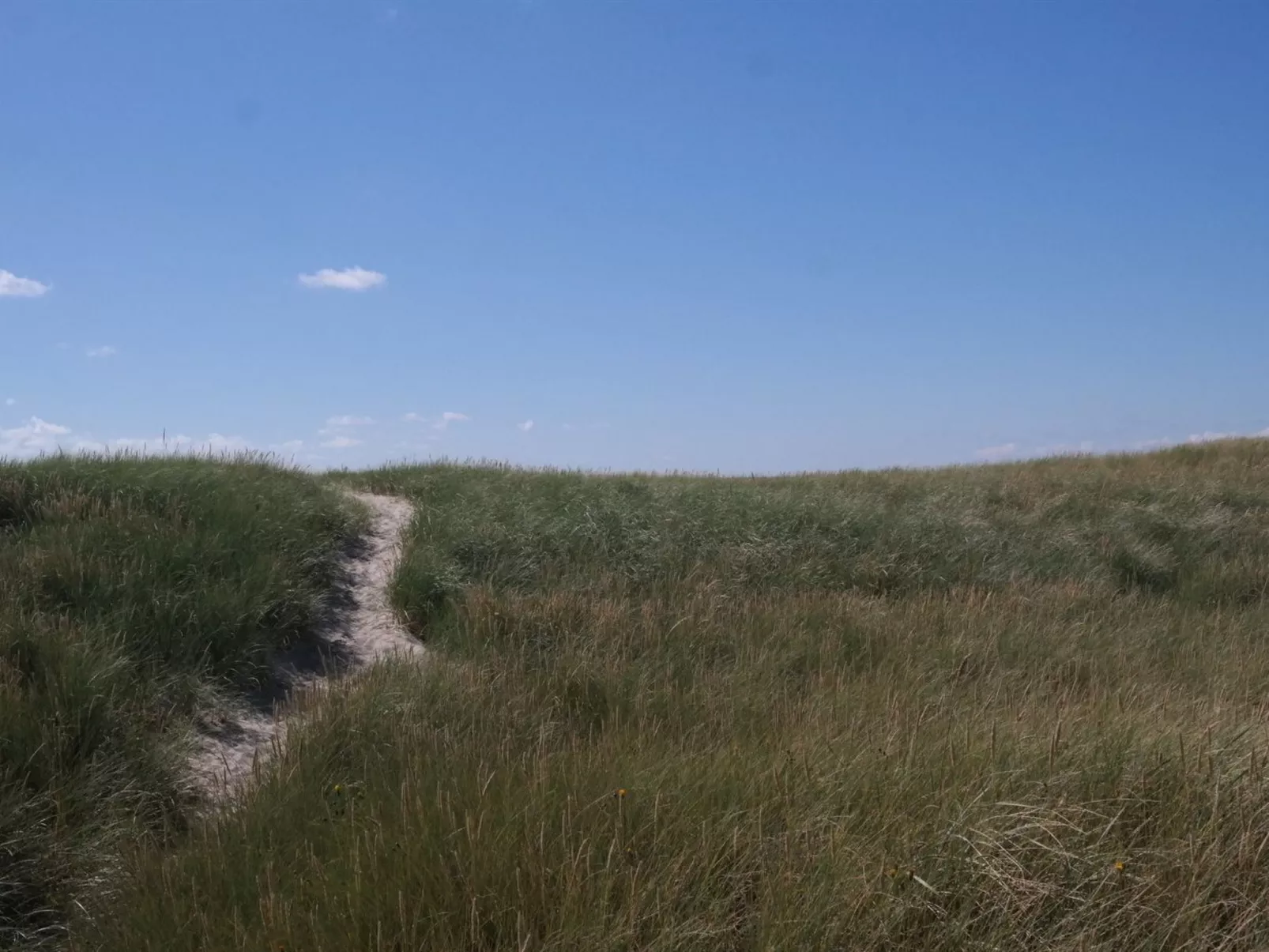 "Dietlinde" - 100m from the sea-Outside