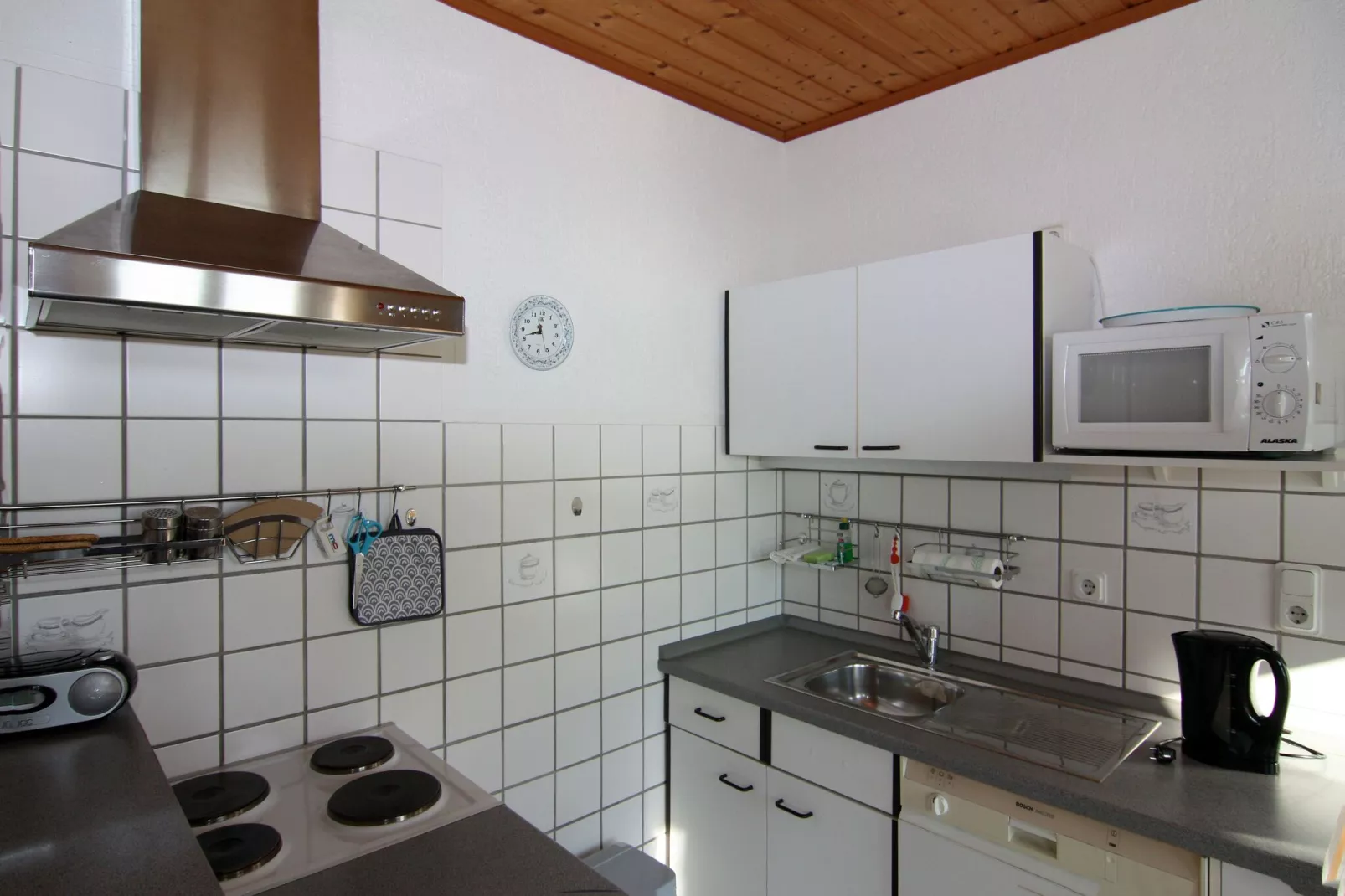 Gutshaus Schulenbrook Rüster 30 m²-Kitchen