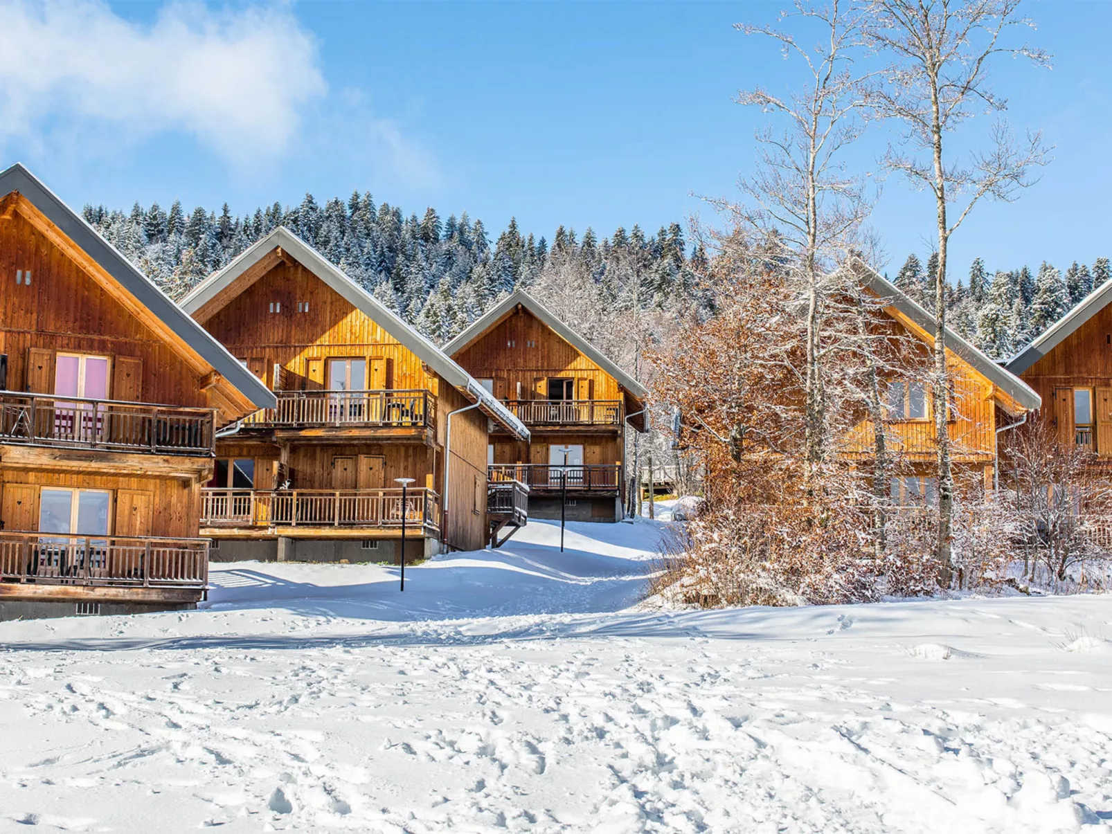 Les Chalets du Berger-Outside
