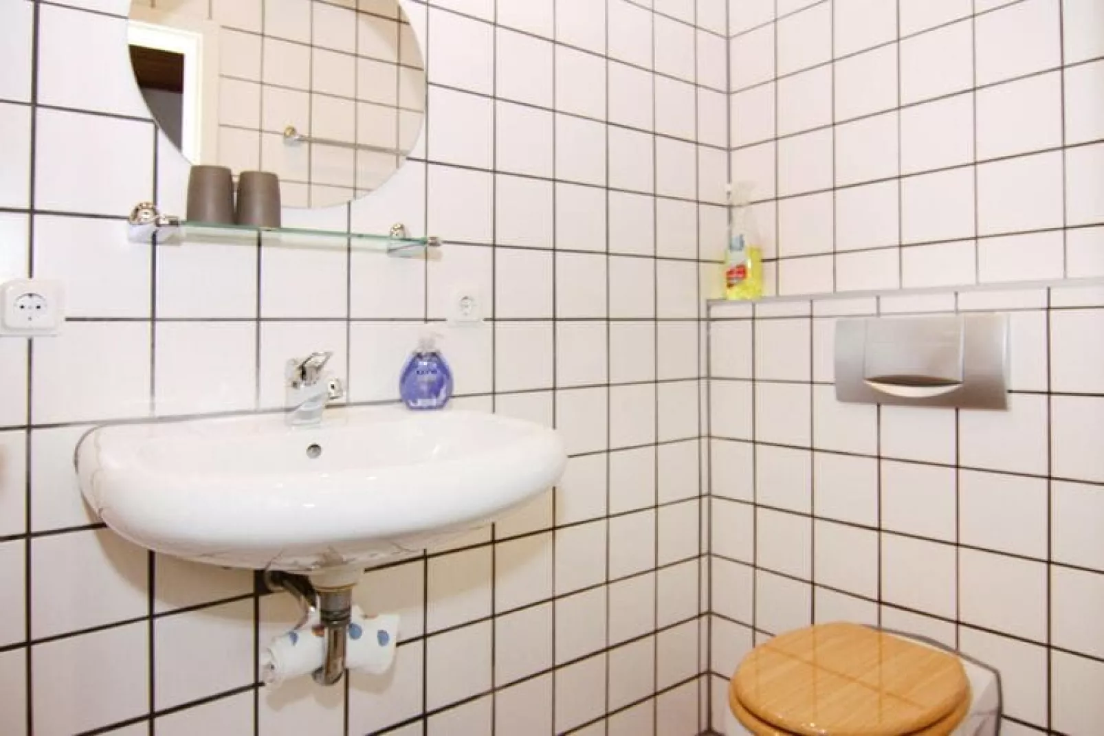 Gutshaus Schulenbrook Rüster 30 m²-Bathroom
