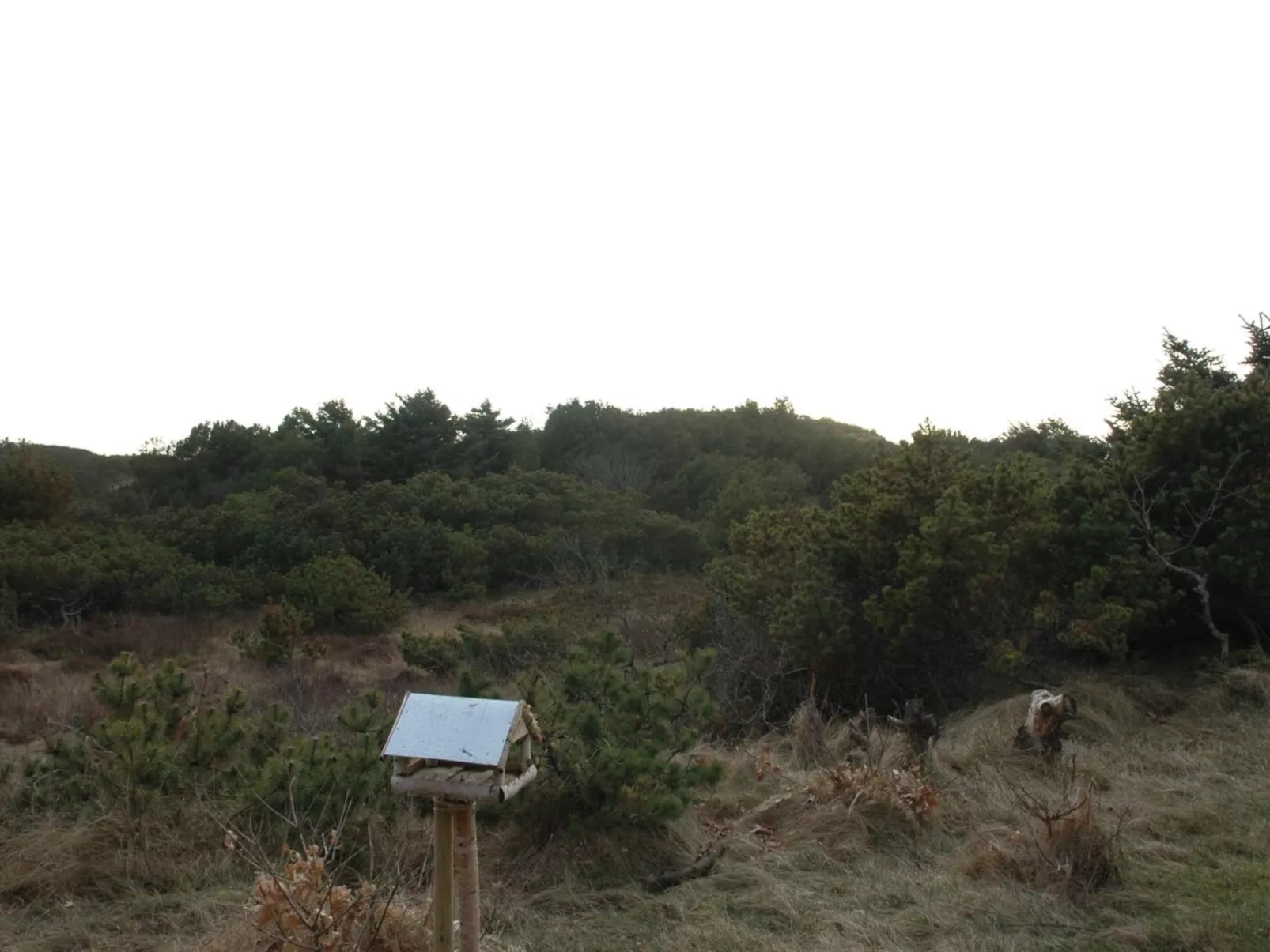 "Annita" - 300m from the sea-Outside