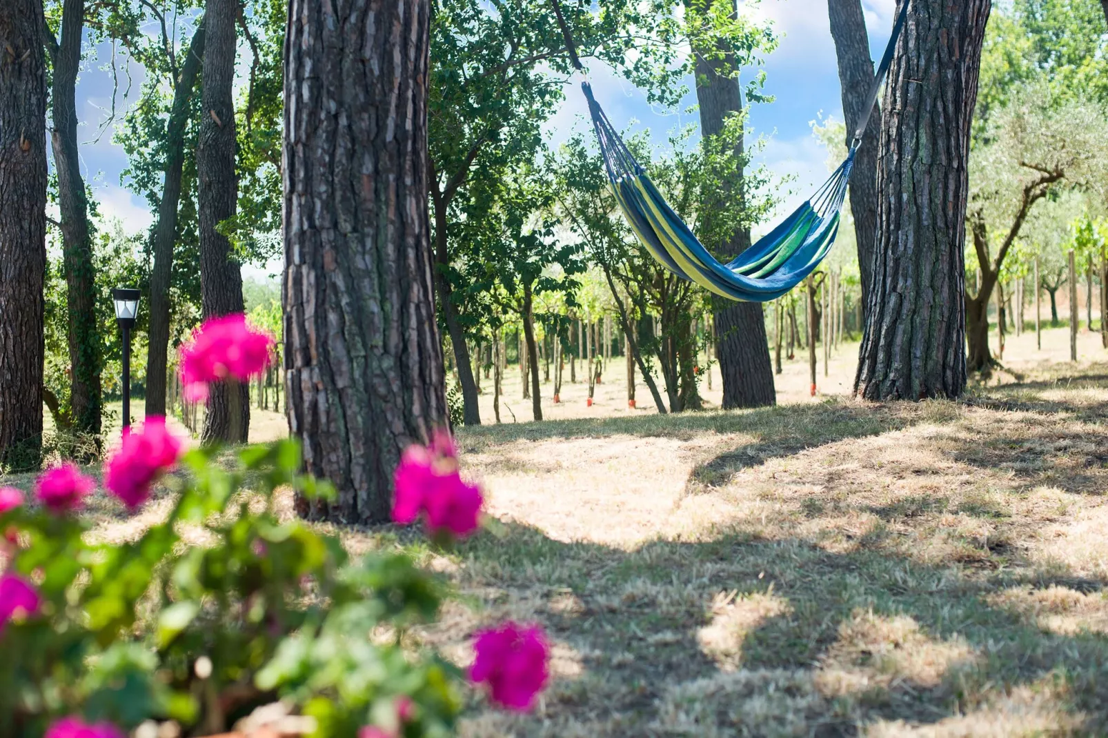 Brezza dal Mare-Gardens summer