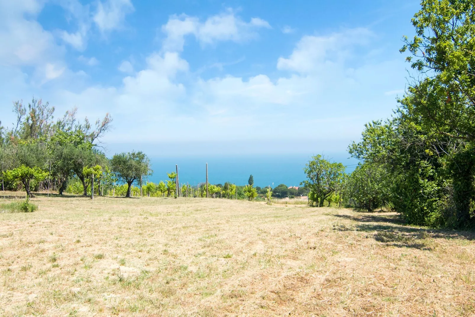 Brezza dal Mare-Gardens summer