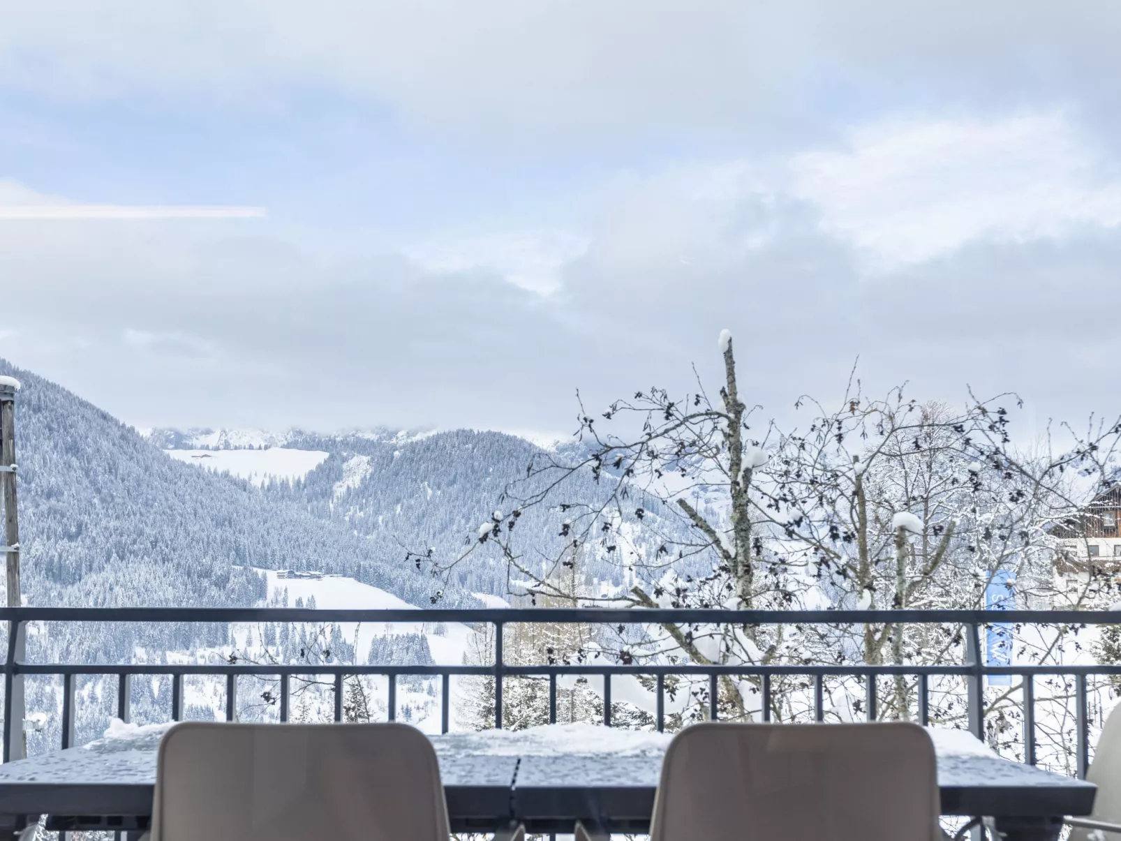 Superior & Infinity Pool-Outside