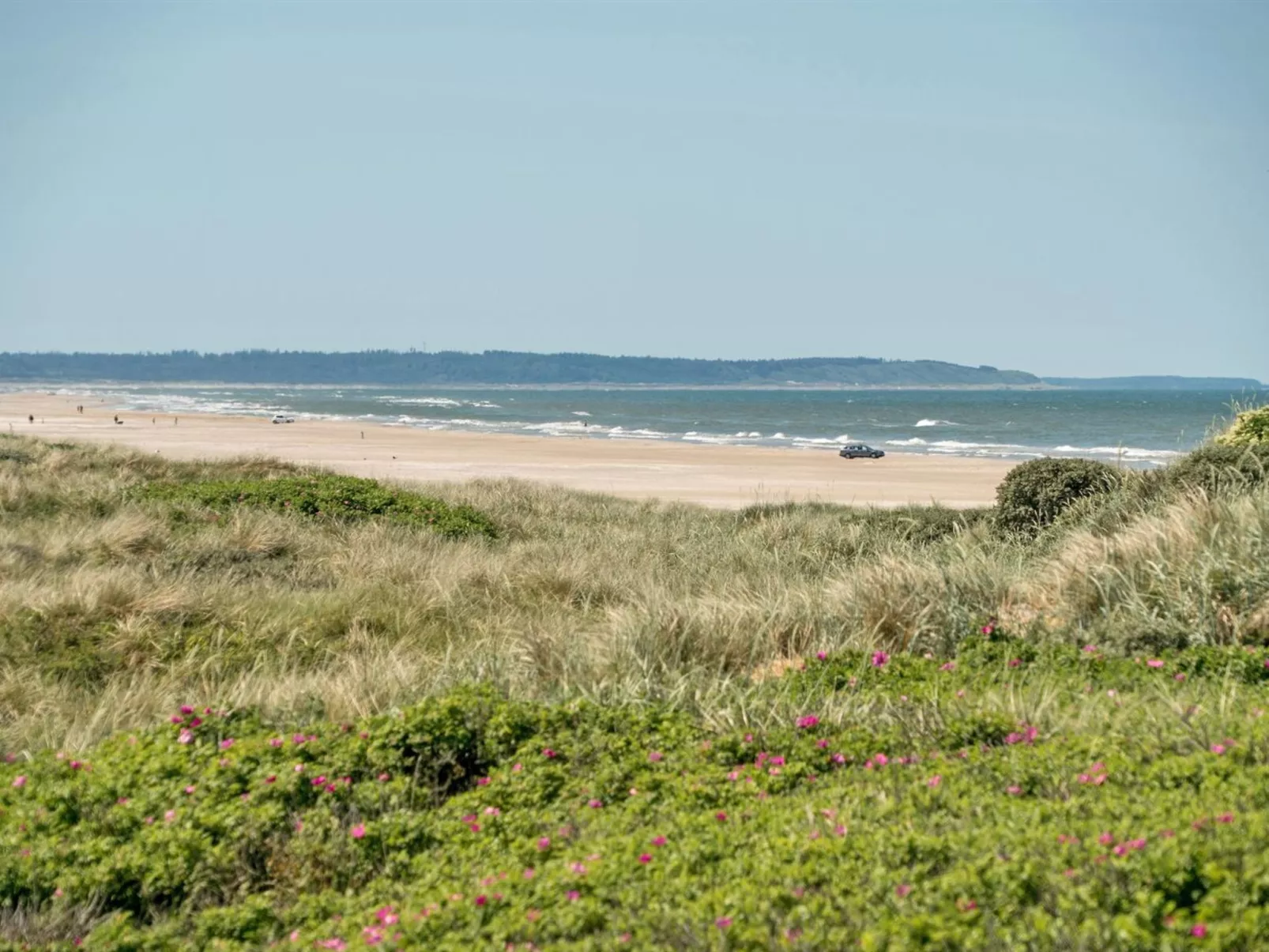 "Tinea" - 50m from the sea-Outside
