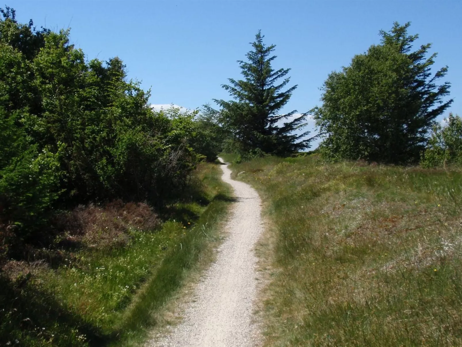 "Teodora" - 450m from the sea-Dehors