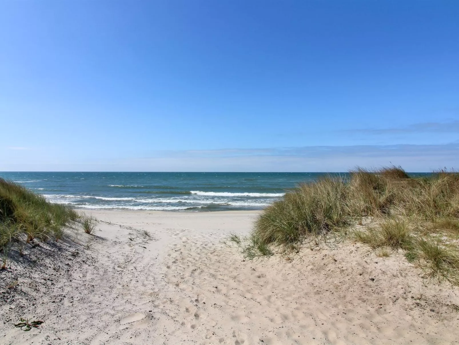 "Bondi" - 150m from the sea-Draußen