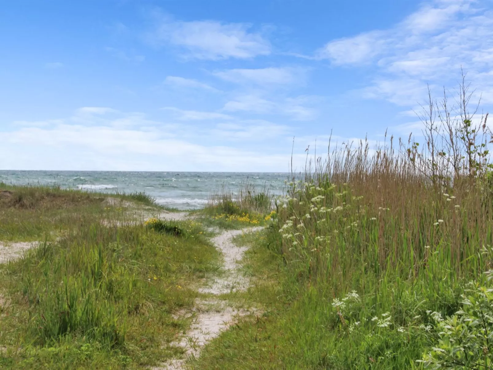 "Andria" - 300m from the sea-Draußen