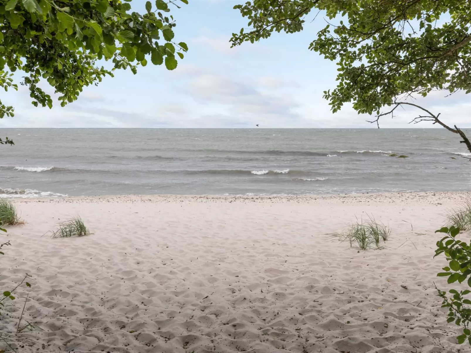 "Ila" - 500m from the sea-Draußen
